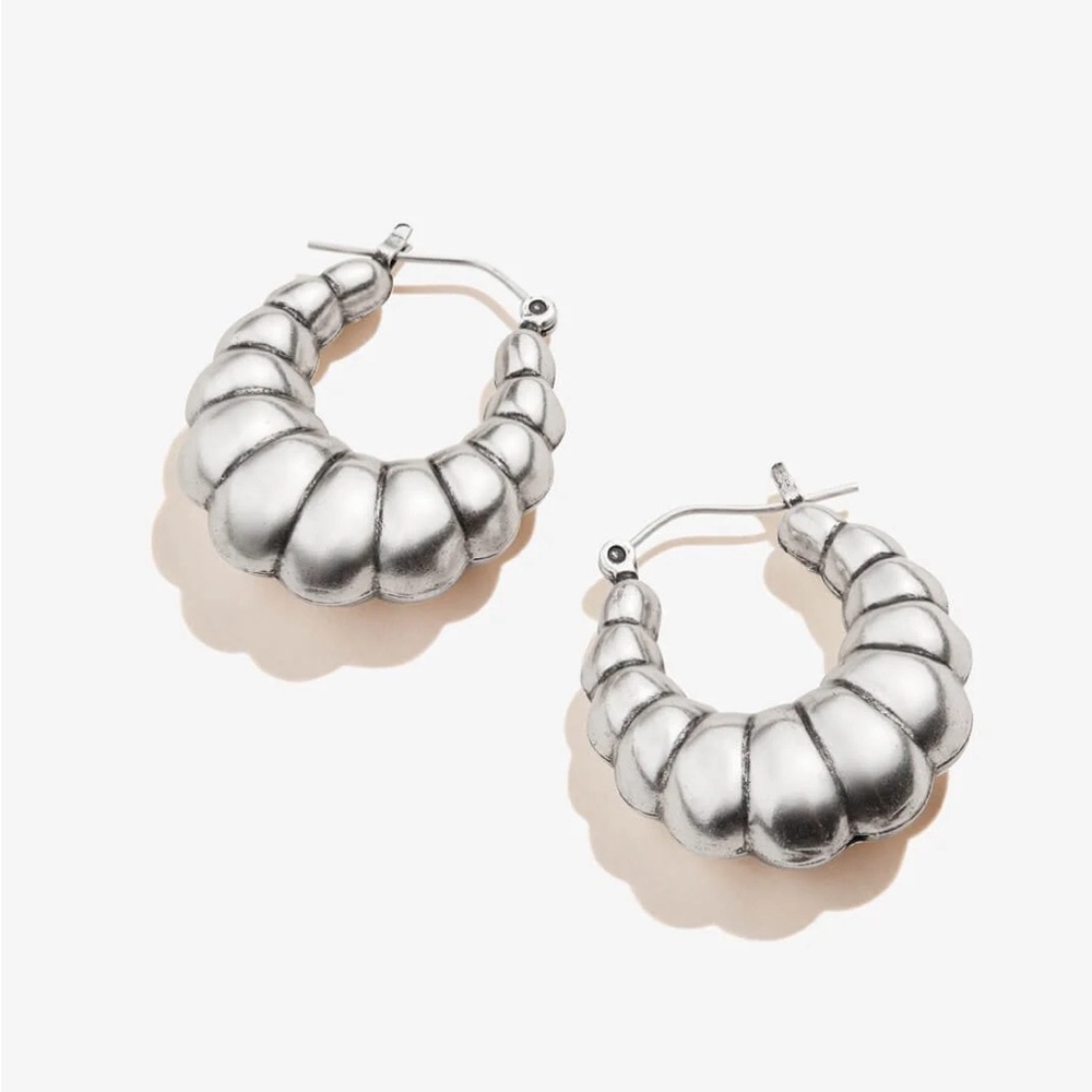 Alex And Ani Bubble Hoop Earrings - Picture 2 of 4